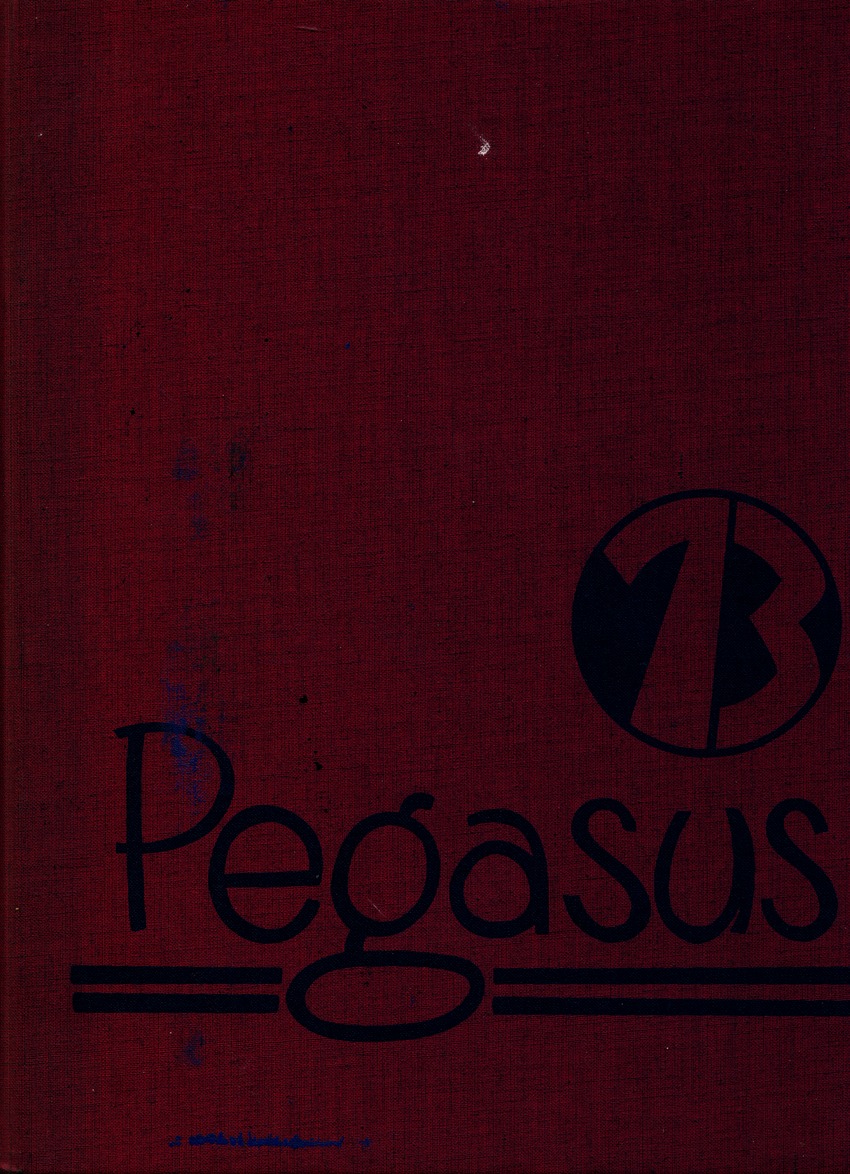 Pegasus '73 - New Page
